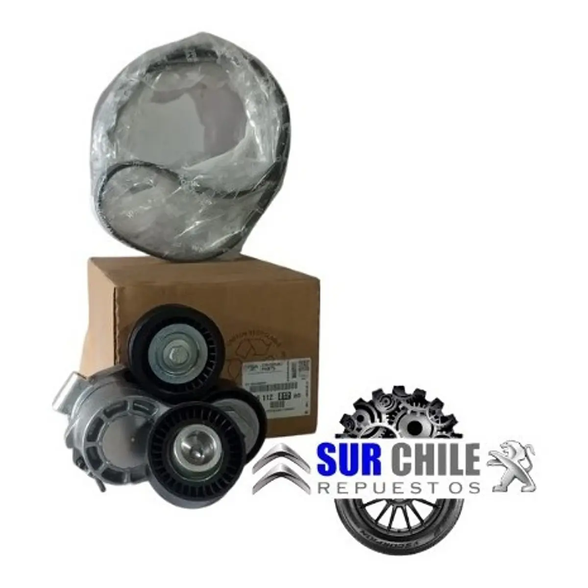 DUCHA RED. DE 8'' CROM. BLISTER BOXER NT16998-8